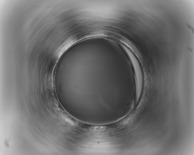 X0000100920858200807011305