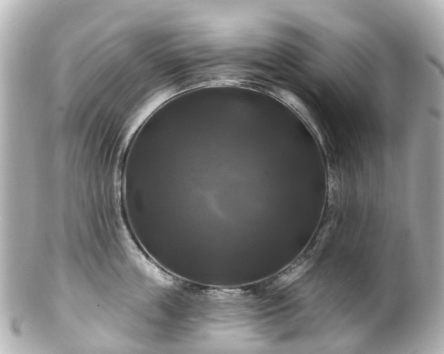 X0000100920859200807011305