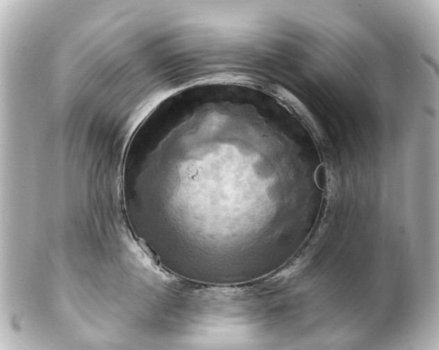 X0000100920860200807011305