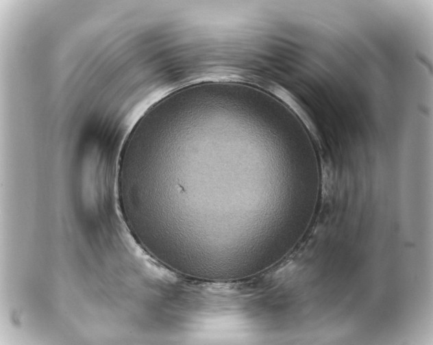 X0000100920861200807011305