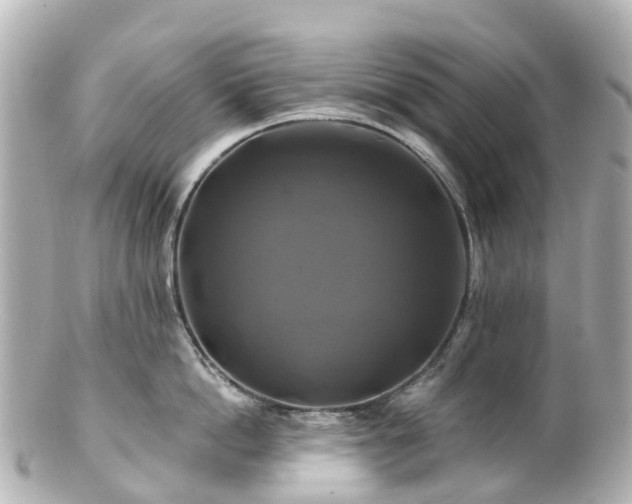 X0000100920862200807011305