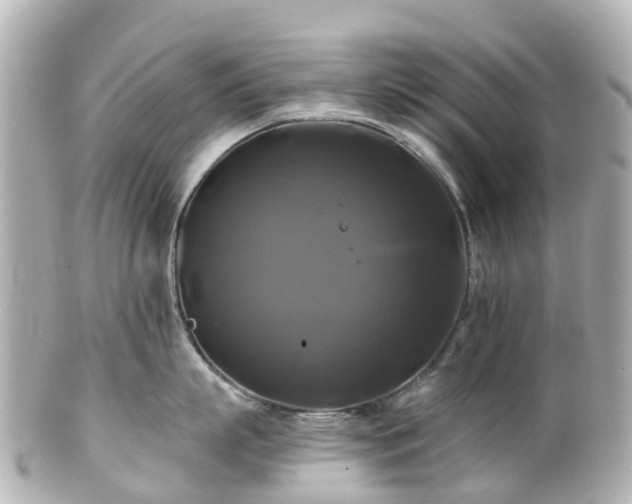 X0000100920863200807011305