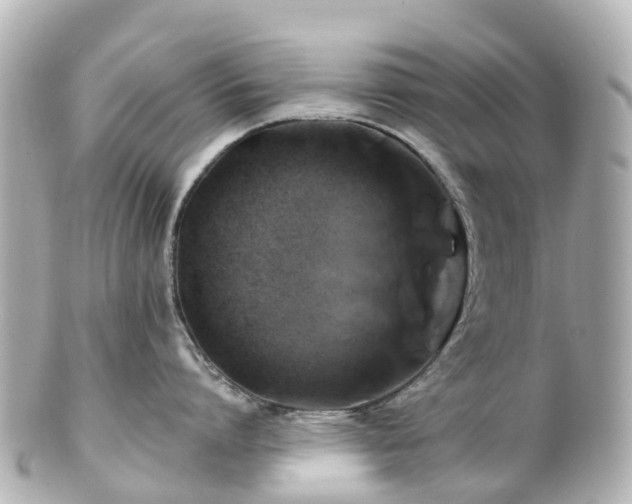 X0000100920864200807011305