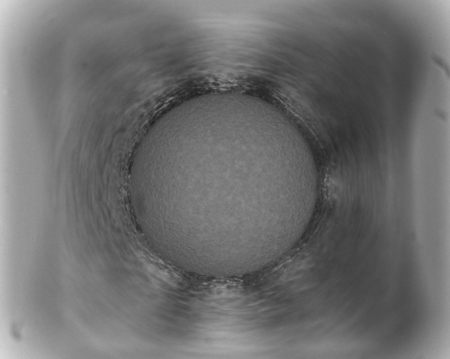 X0000100920865200807011304