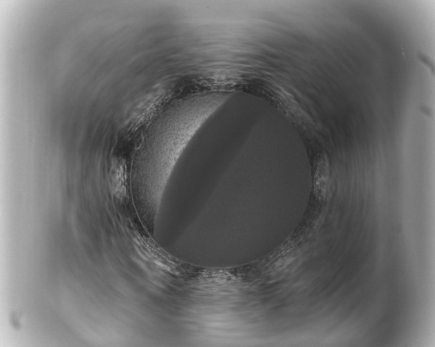 X0000100920866200807011304