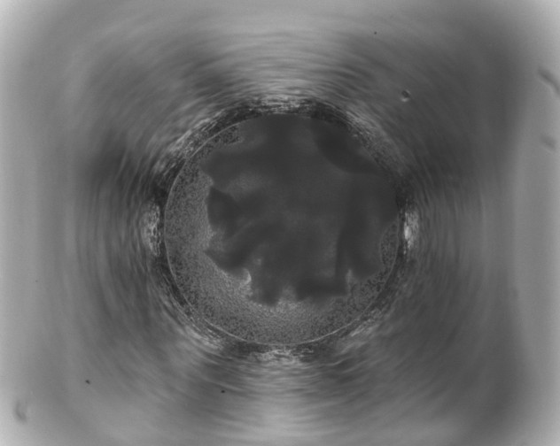 X0000100920867200807011304