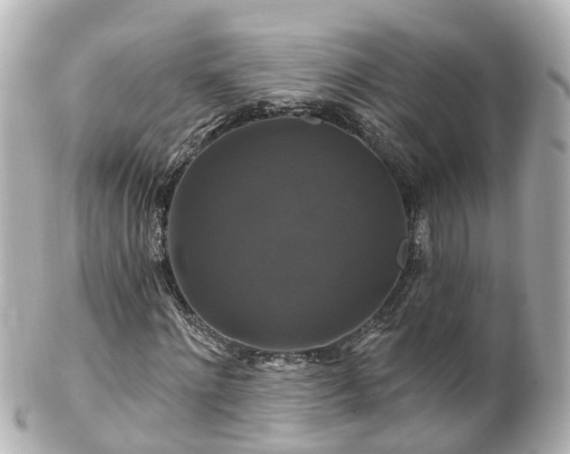 X0000100920868200807011304