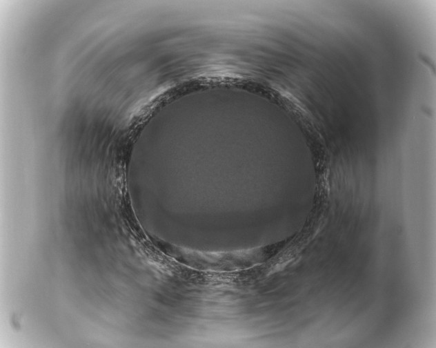 X0000100920870200807011304