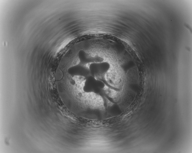 X0000100920871200807011304