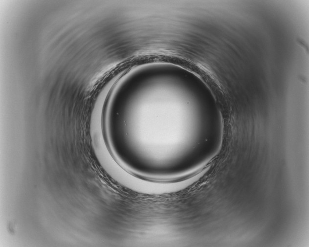 X0000100920872200807011304