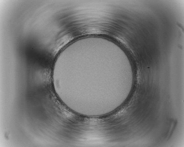 X0000100920873200807011304