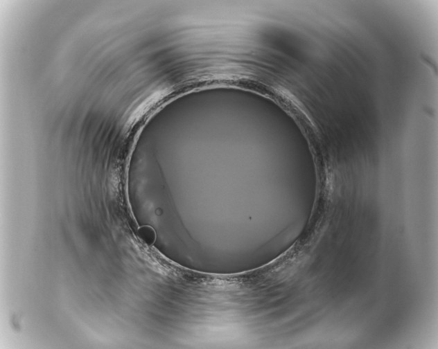 X0000100920874200807011304