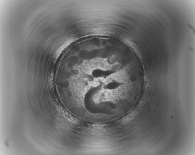 X0000100920875200807011304