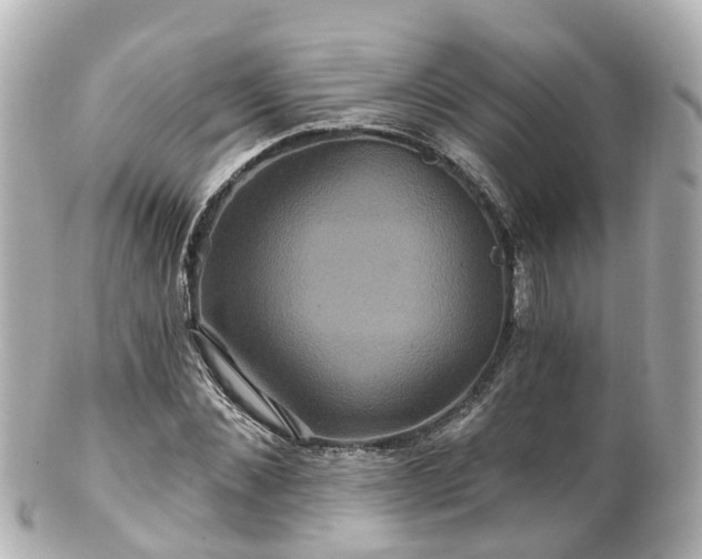 X0000100920876200807011304