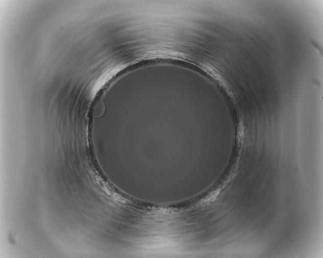 X0000100920877200807011304