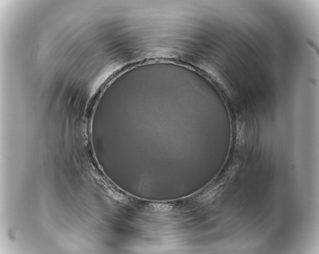 X0000100920878200807011304