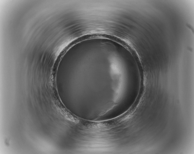 X0000100920879200807011304