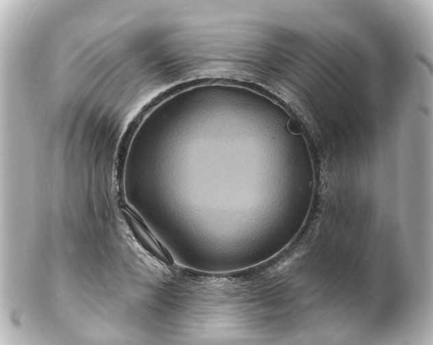 X0000100920880200807011304