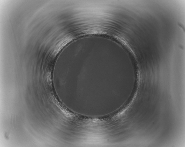 X0000100920881200807011304