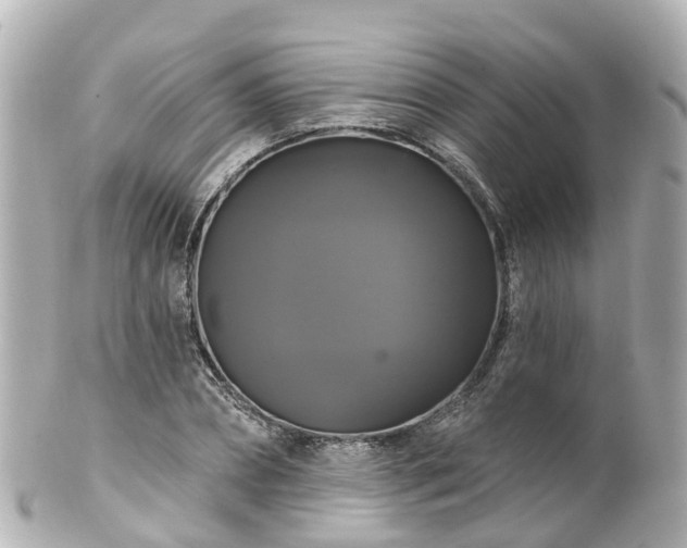 X0000100920882200807011304