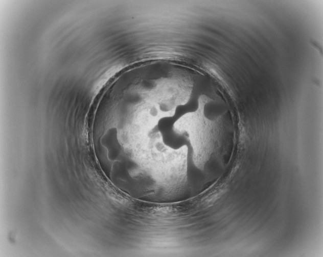 X0000100920883200807011304