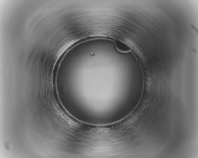 X0000100920884200807011304