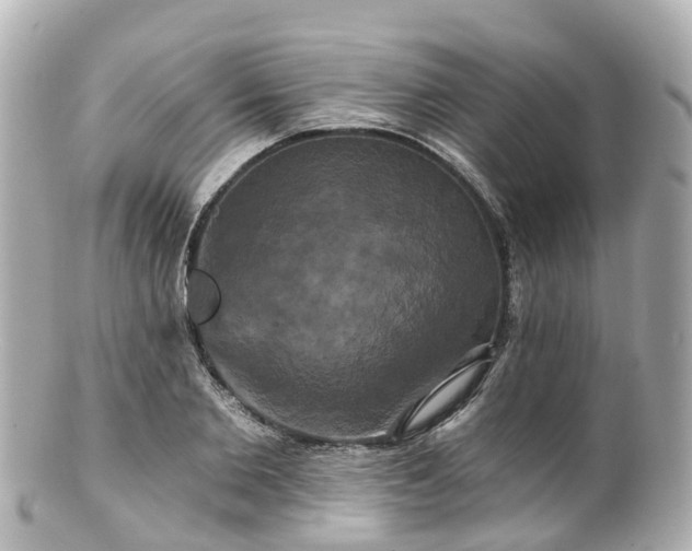 X0000100920885200807011304