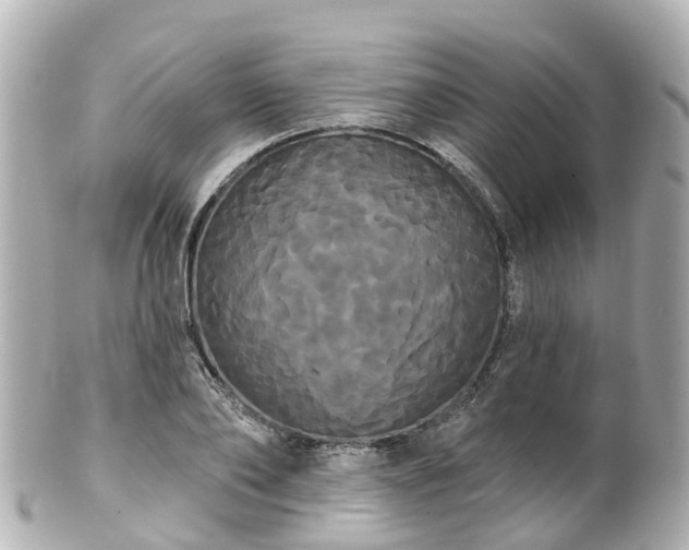 X0000100920886200807011304