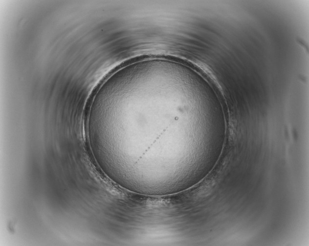 X0000100920887200807011304