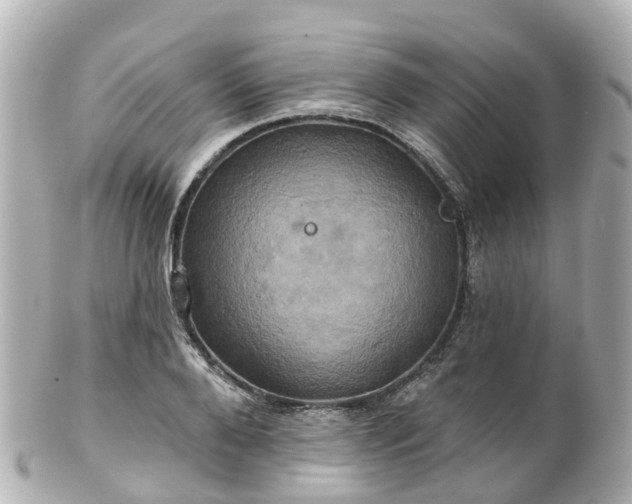 X0000100920888200807011304