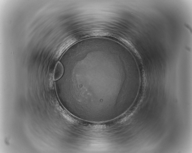 X0000100920889200807011304