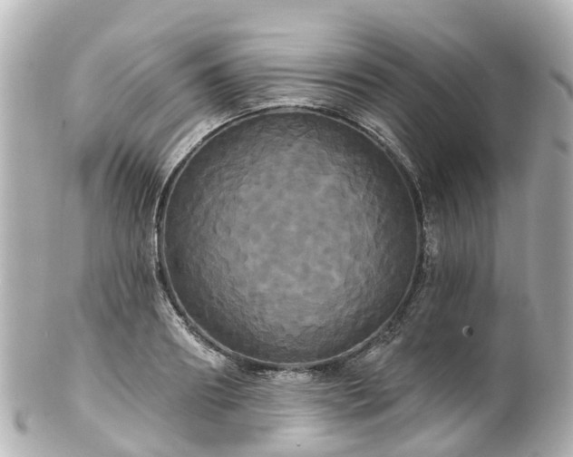 X0000100920890200807011304