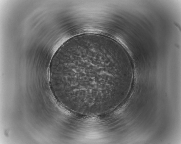 X0000100920891200807011304