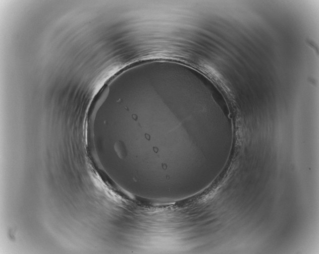 X0000100920892200807011304