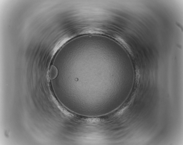 X0000100920893200807011304