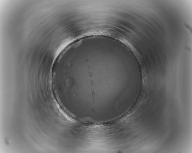 X0000100920894200807011304