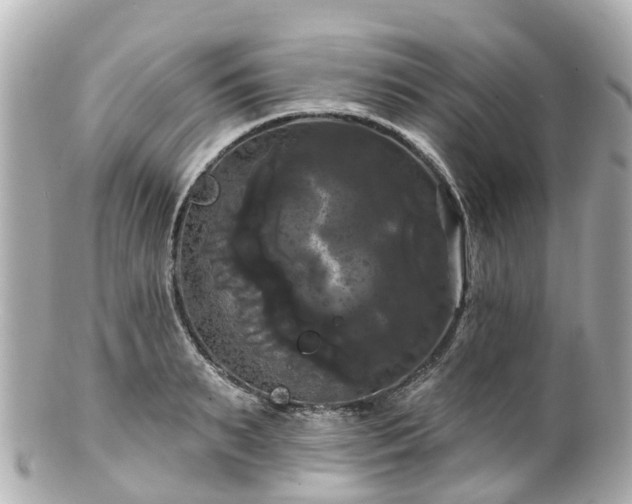 X0000100920895200807011304