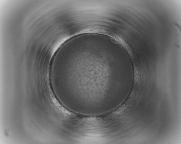 X0000100920896200807011304