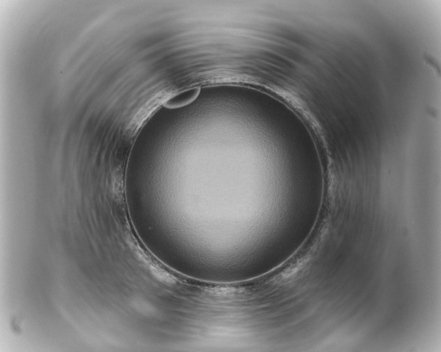 X0000100920897200807011304