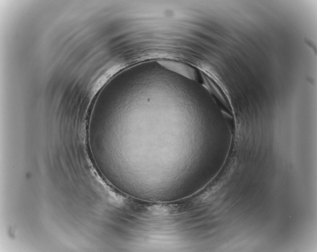 X0000100920898200807011304