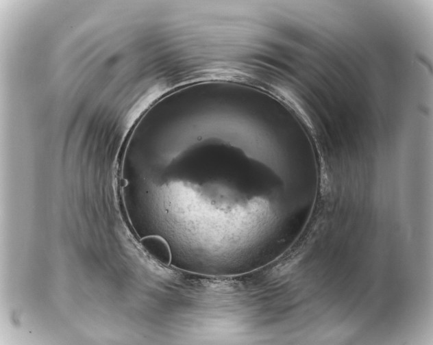 X0000100920899200807011304