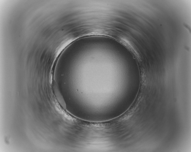 X0000100920900200807011304