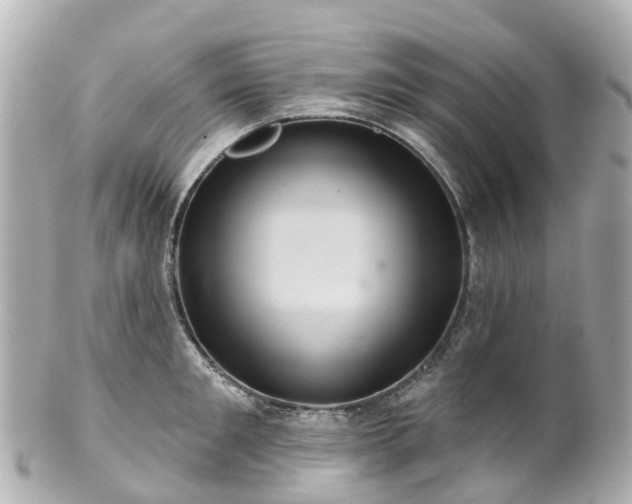 X0000100920901200807011304