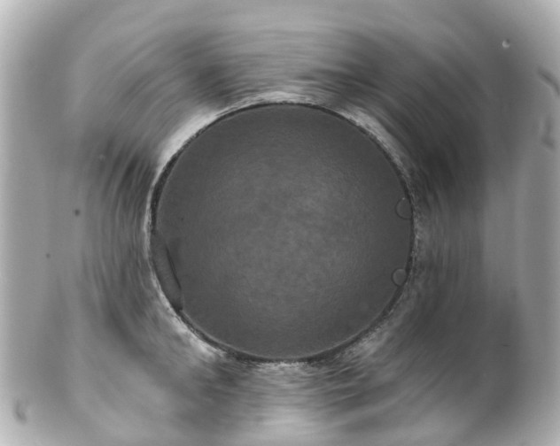 X0000100920902200807011304