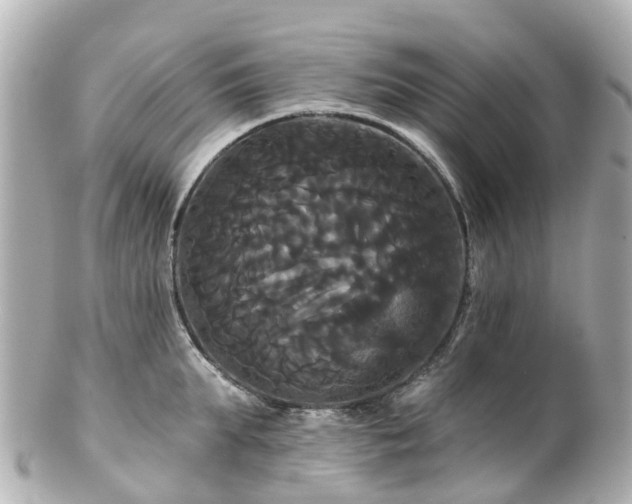 X0000100920903200807011304