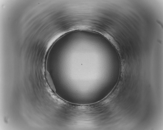 X0000100920904200807011304