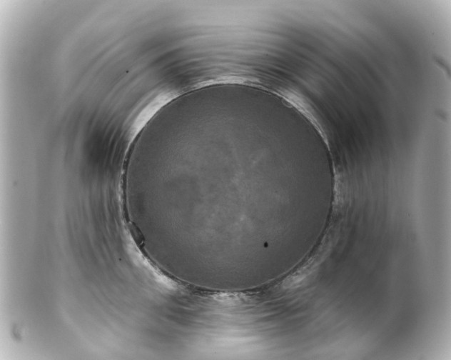 X0000100920906200807011304