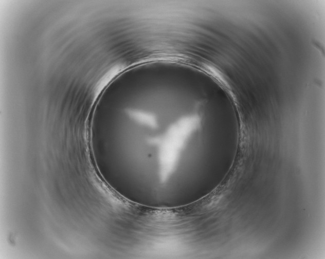 X0000100920907200807011304