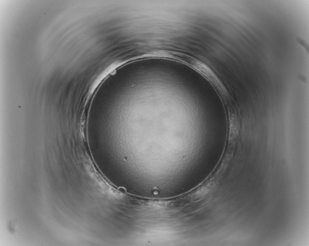 X0000100920908200807011304