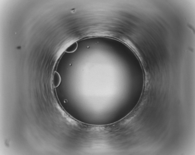 X0000100920909200807011304